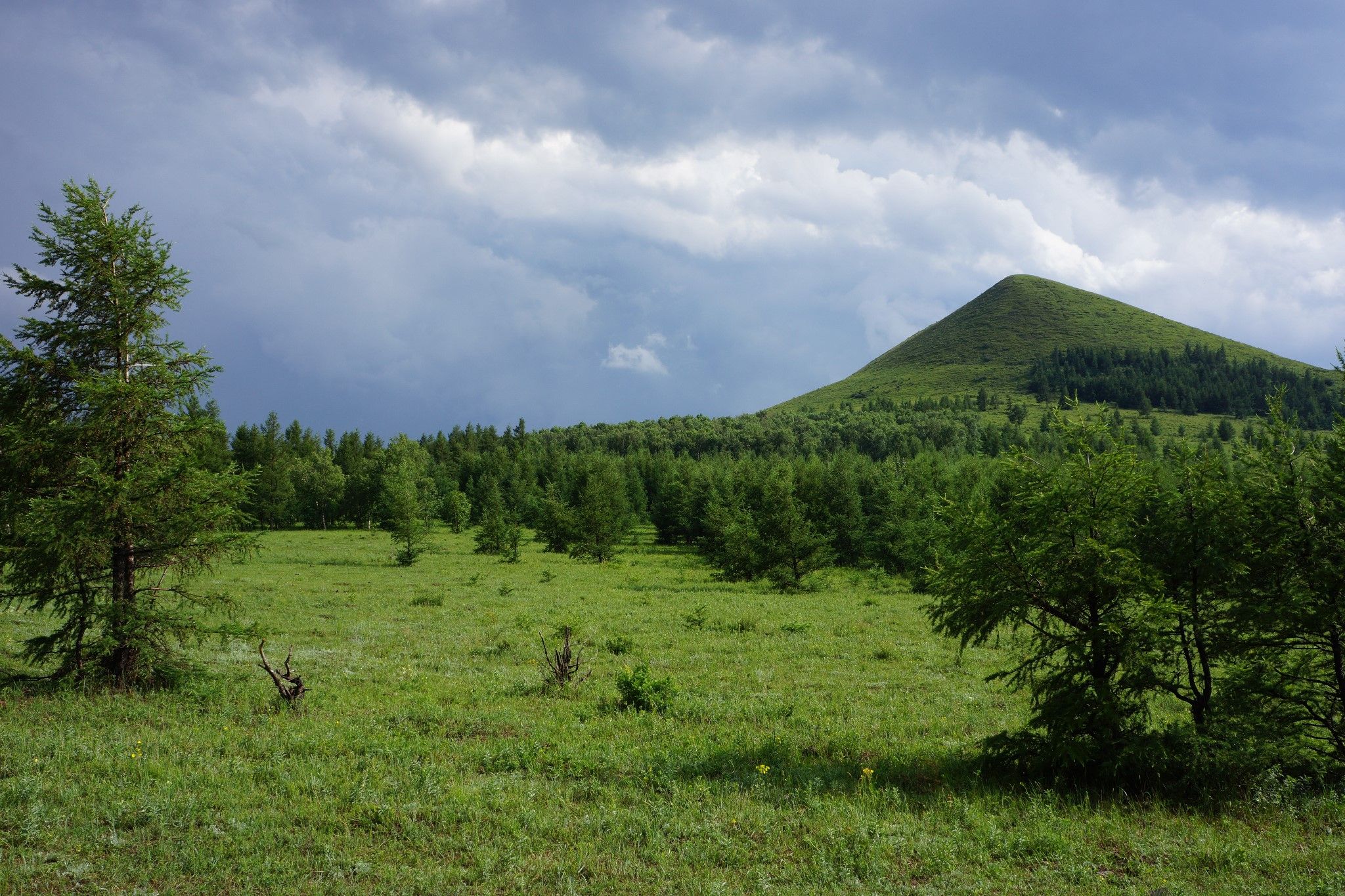 豐寧壩上草原,豐寧京北草原