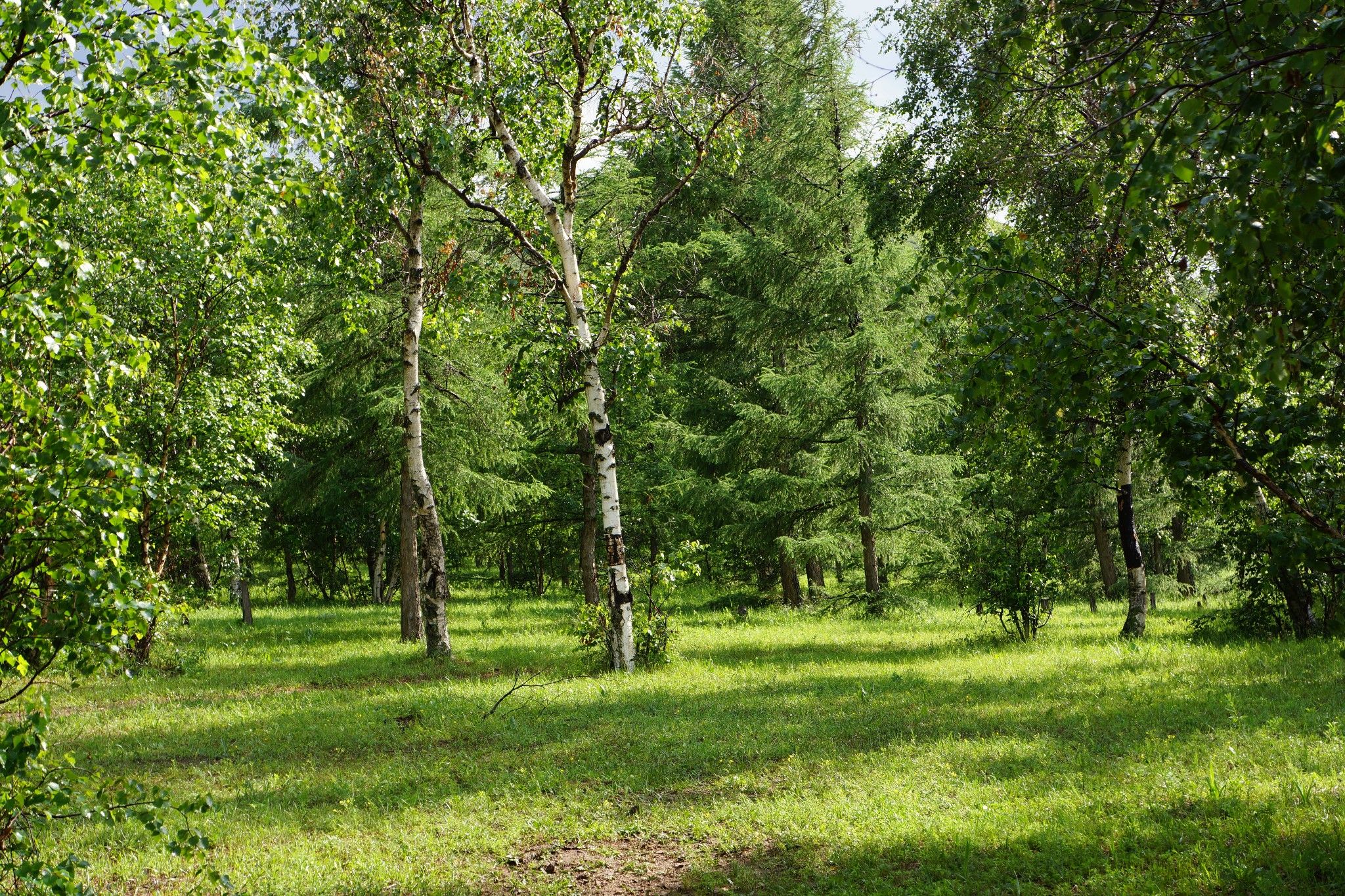 豐寧壩上草原,豐寧京北草原