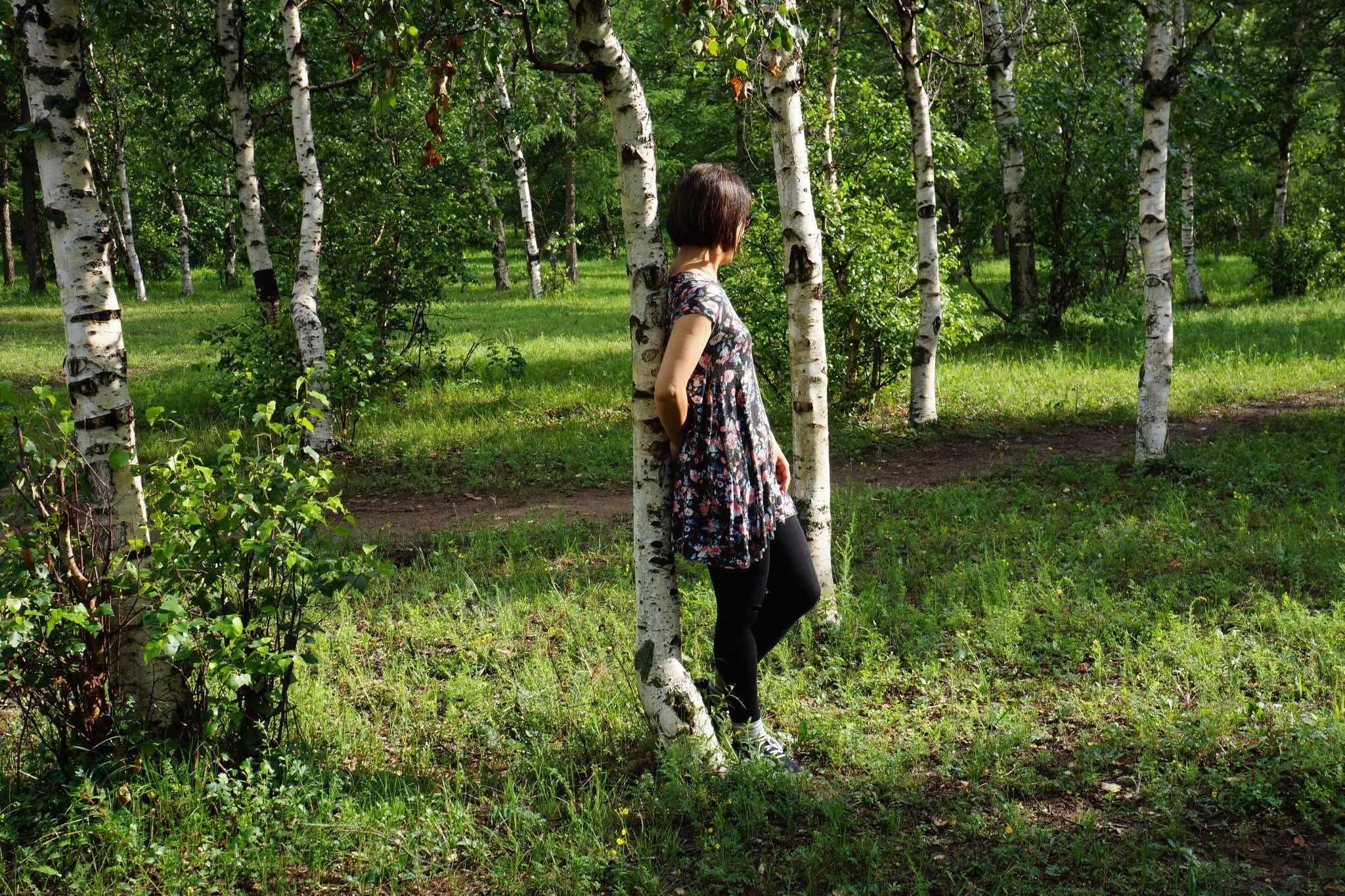 豐寧壩上草原,豐寧京北草原