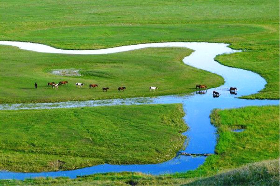 豐寧壩上草原,豐寧京北草原