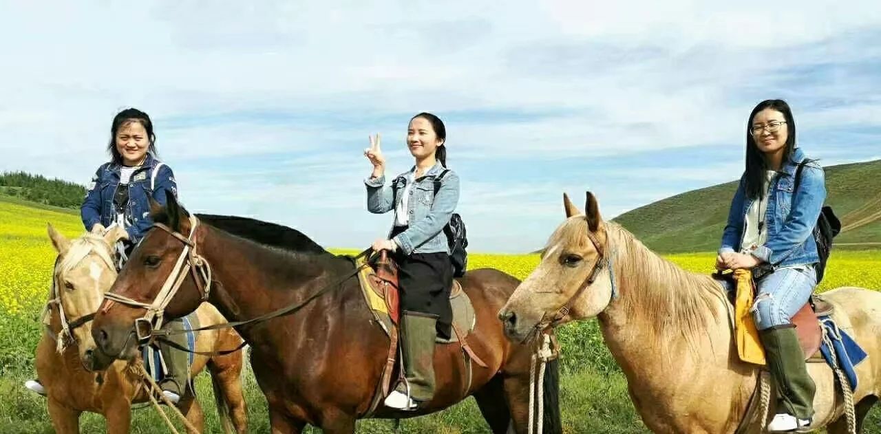 豐寧壩上草原,豐寧京北草原