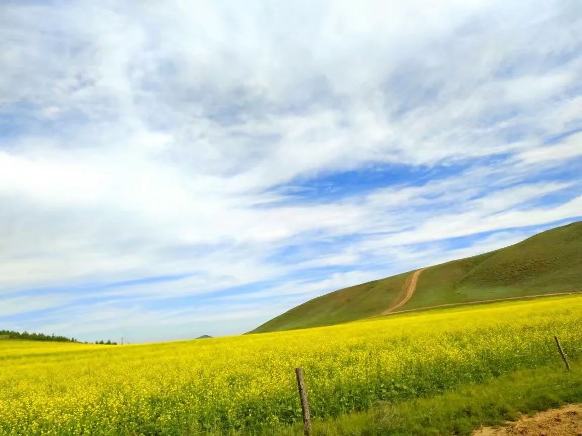 豐寧壩上草原,豐寧京北草原