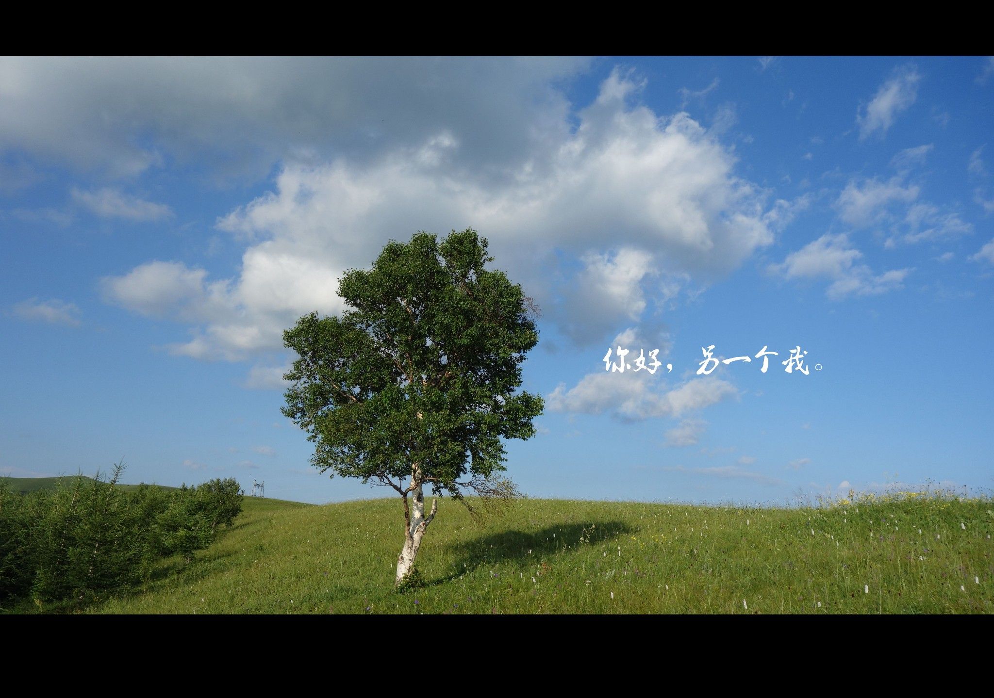 豐寧壩上草原,豐寧京北草原