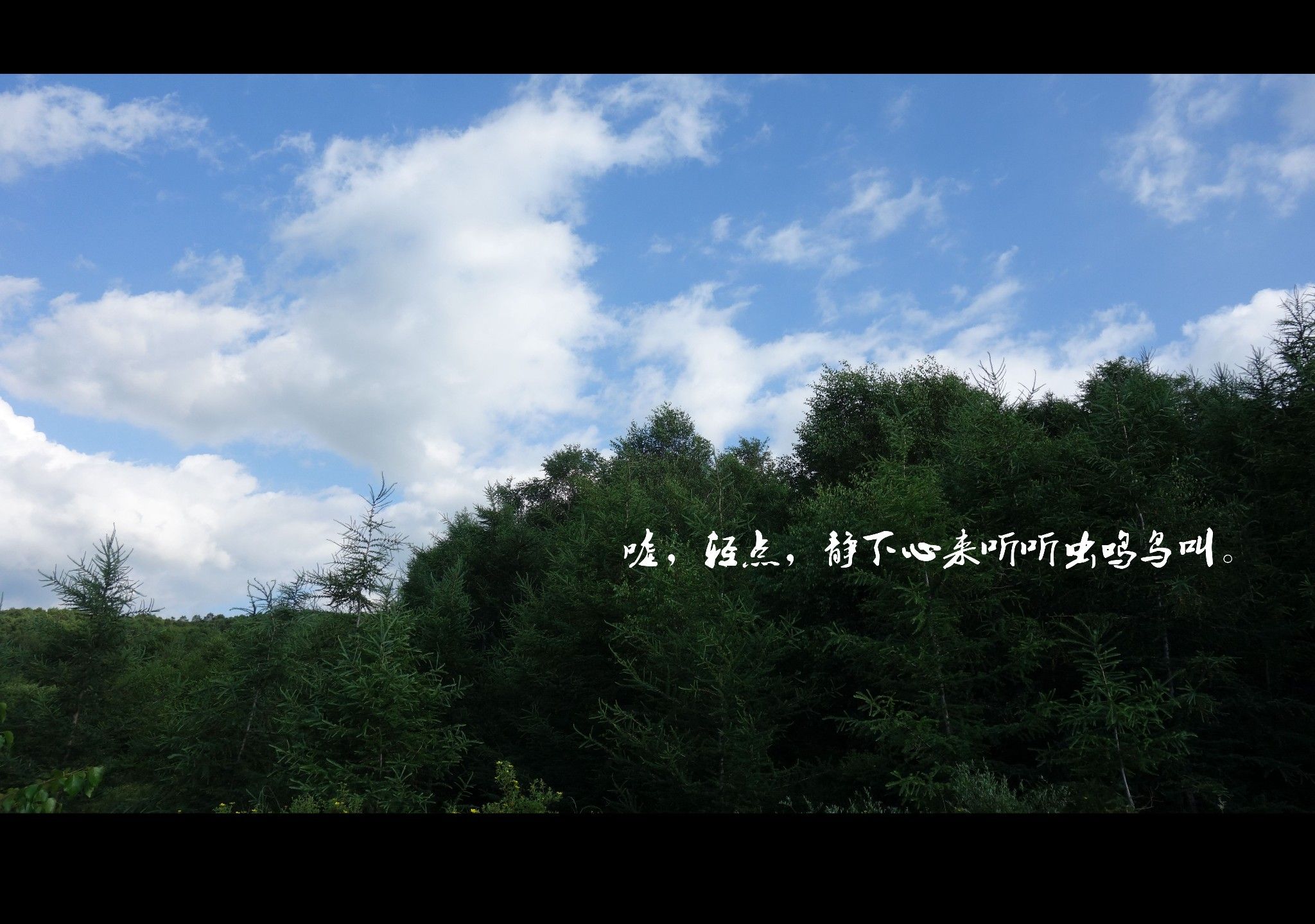 豐寧壩上草原,豐寧京北草原