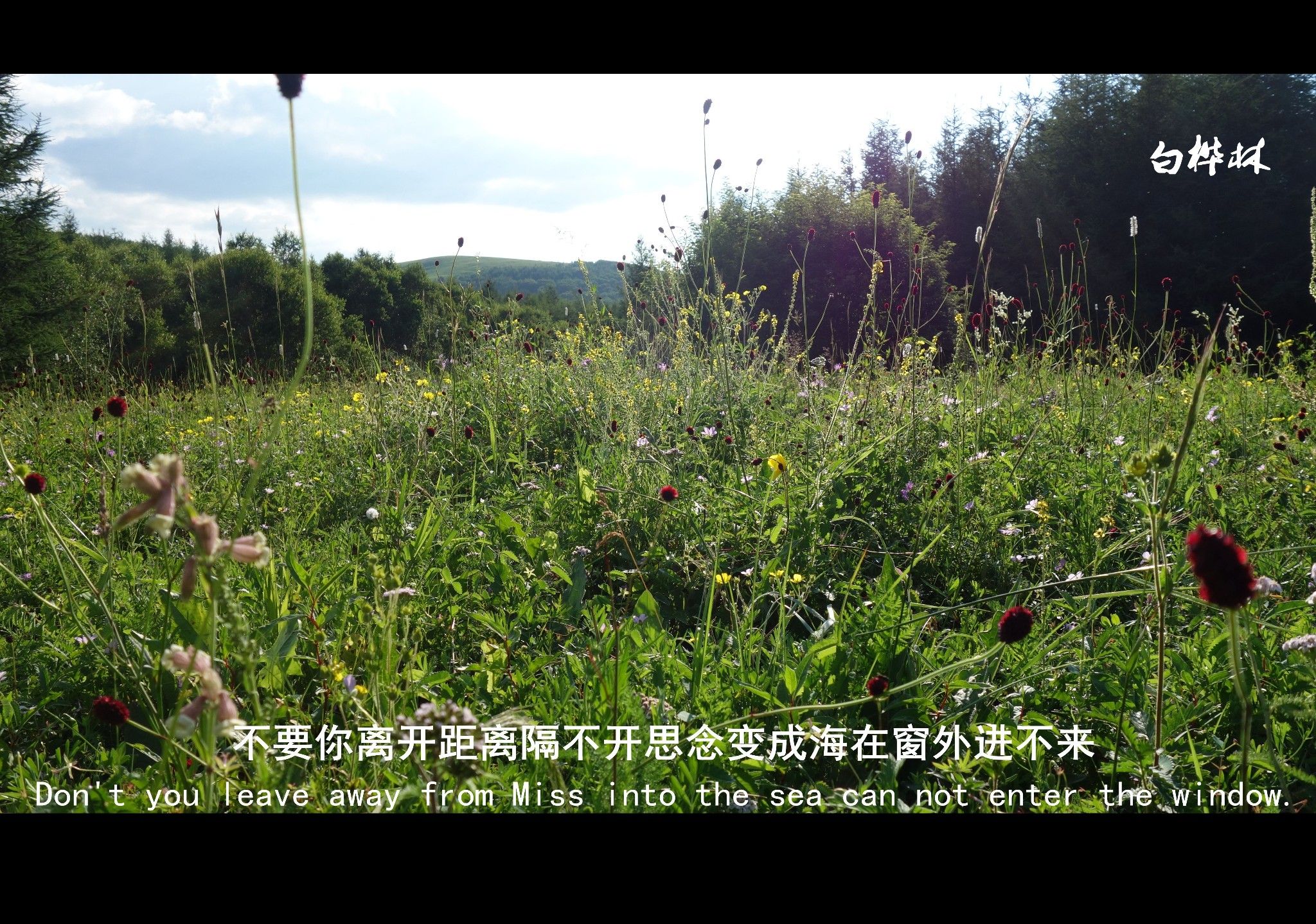 豐寧壩上草原,豐寧京北草原