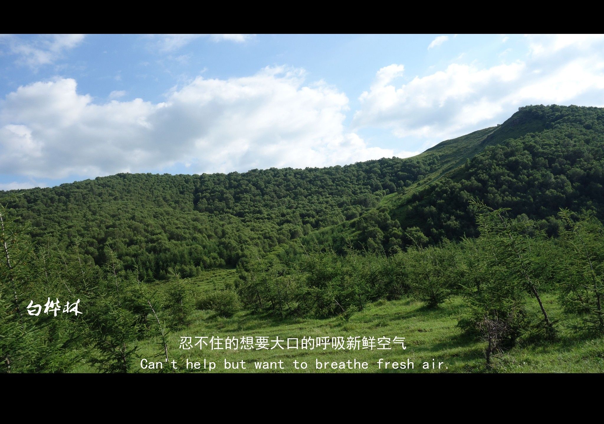 豐寧壩上草原,豐寧京北草原