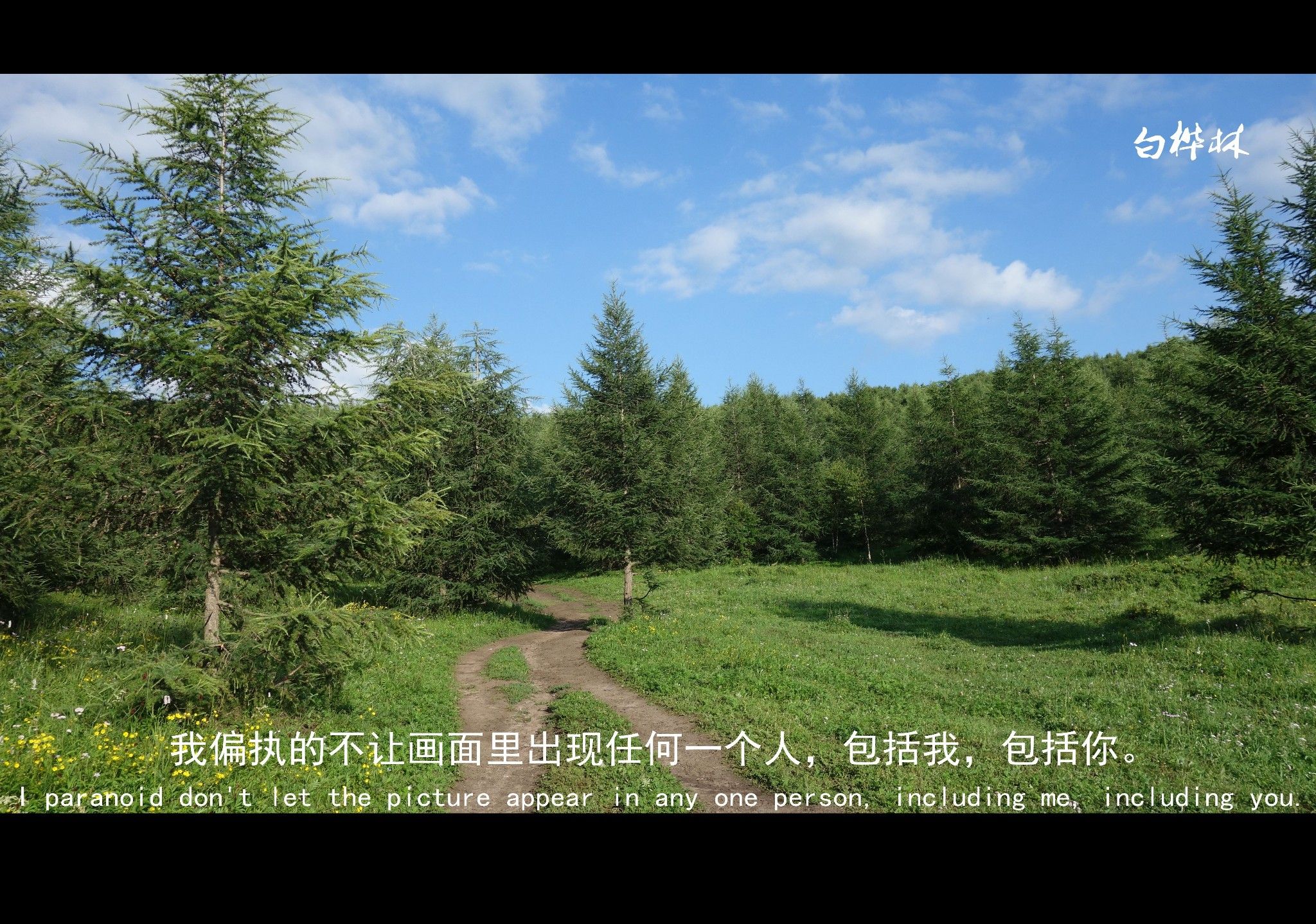 豐寧壩上草原,豐寧京北草原