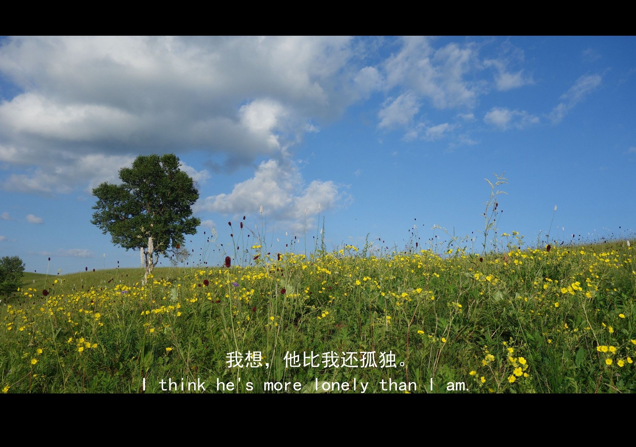 豐寧壩上草原,豐寧京北草原