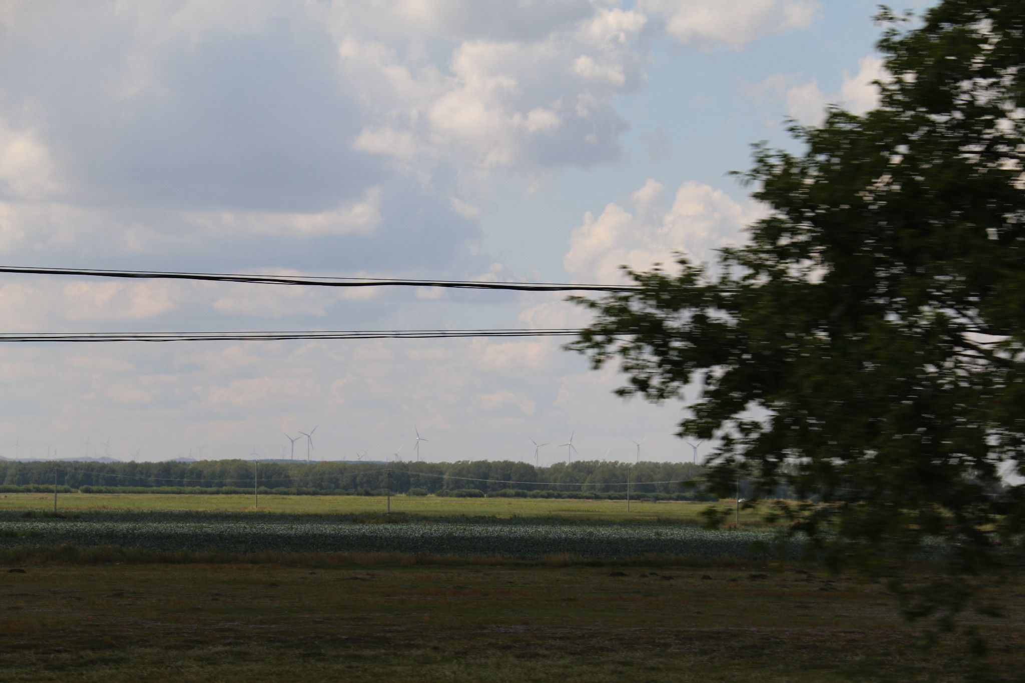 豐寧壩上草原,豐寧京北草原