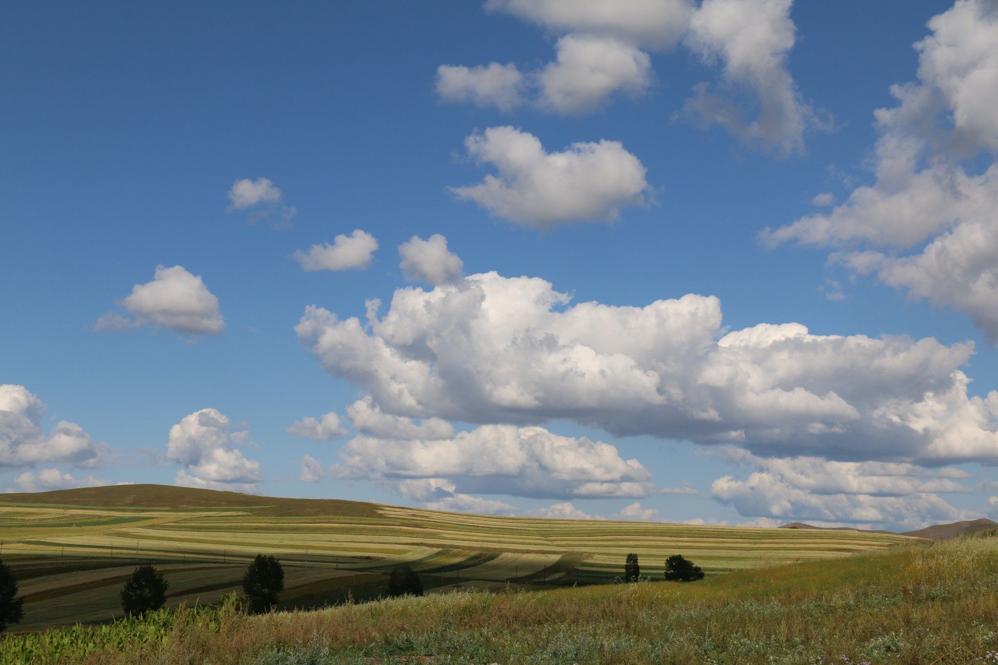 豐寧壩上草原,豐寧京北草原