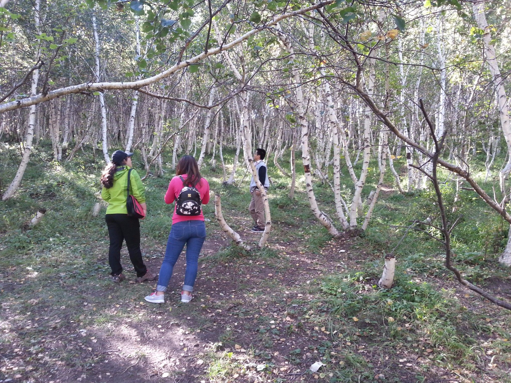 豐寧壩上草原,豐寧京北草原