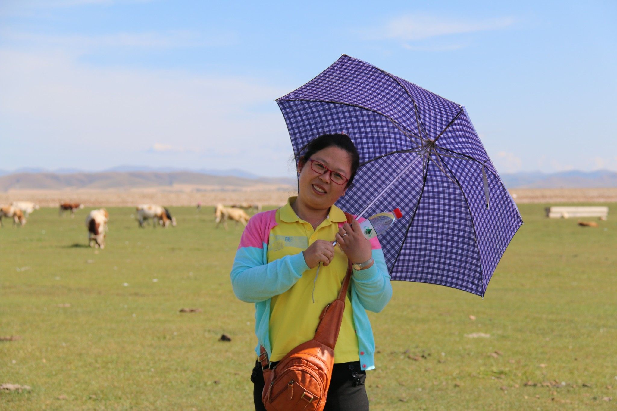 豐寧壩上草原,豐寧京北草原