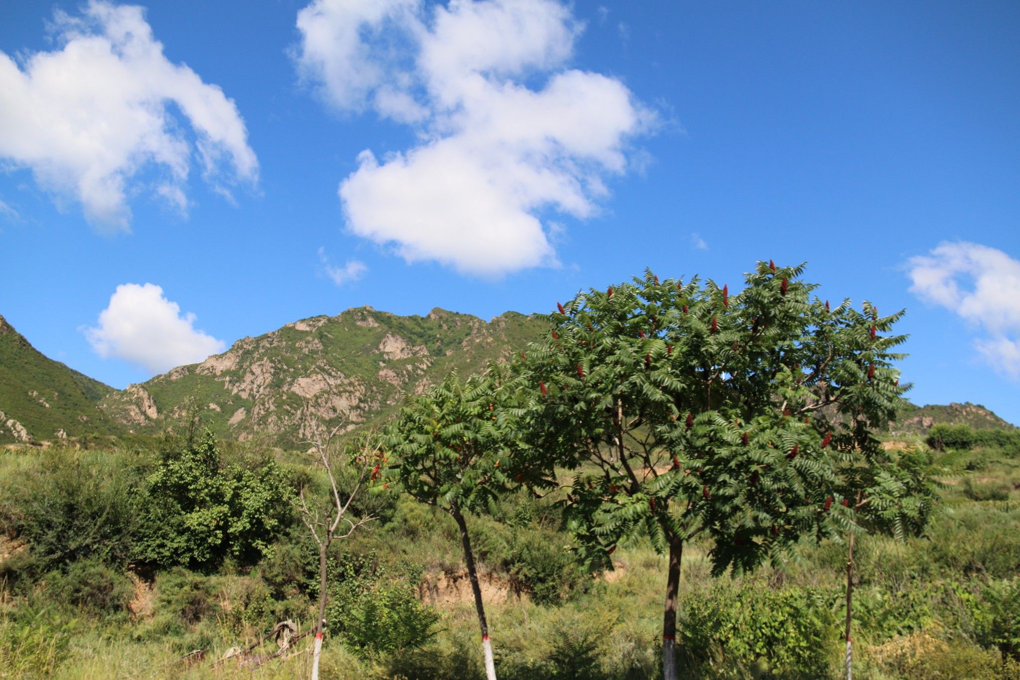 豐寧壩上草原,豐寧京北草原