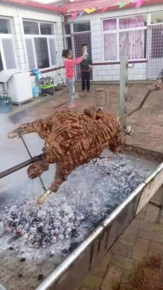 豐寧壩上草原,豐寧京北草原