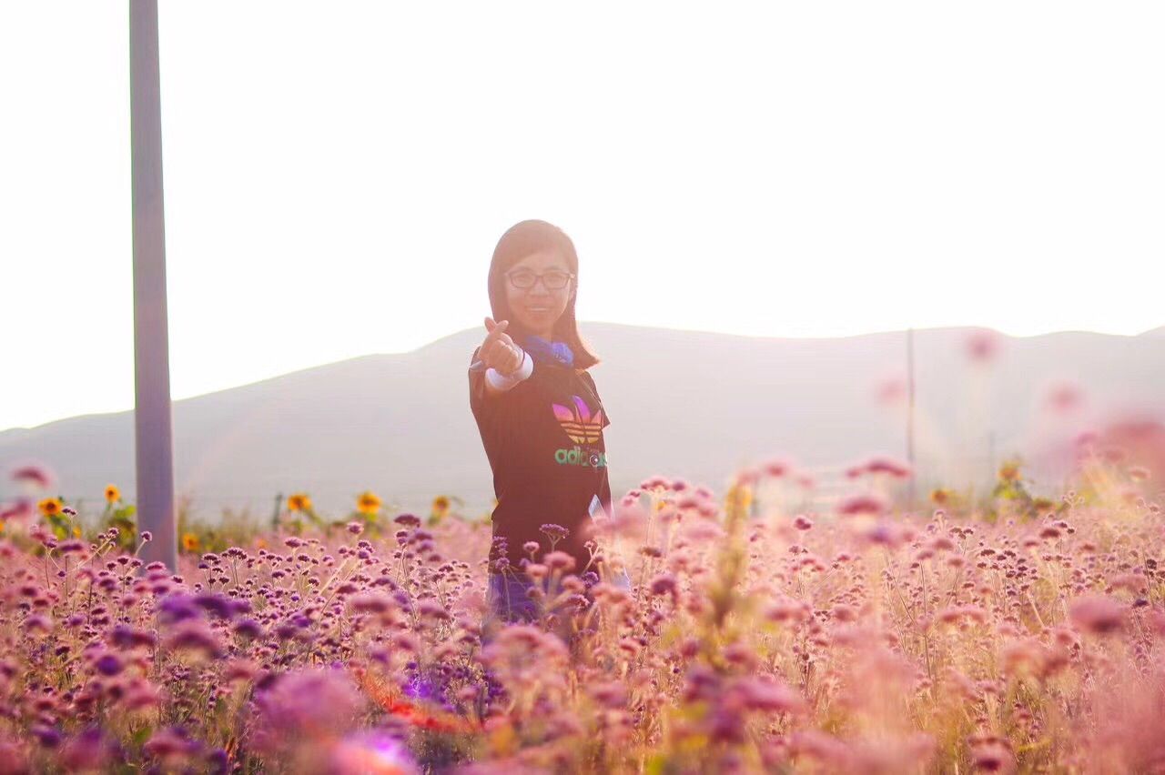 豐寧壩上草原,豐寧京北草原