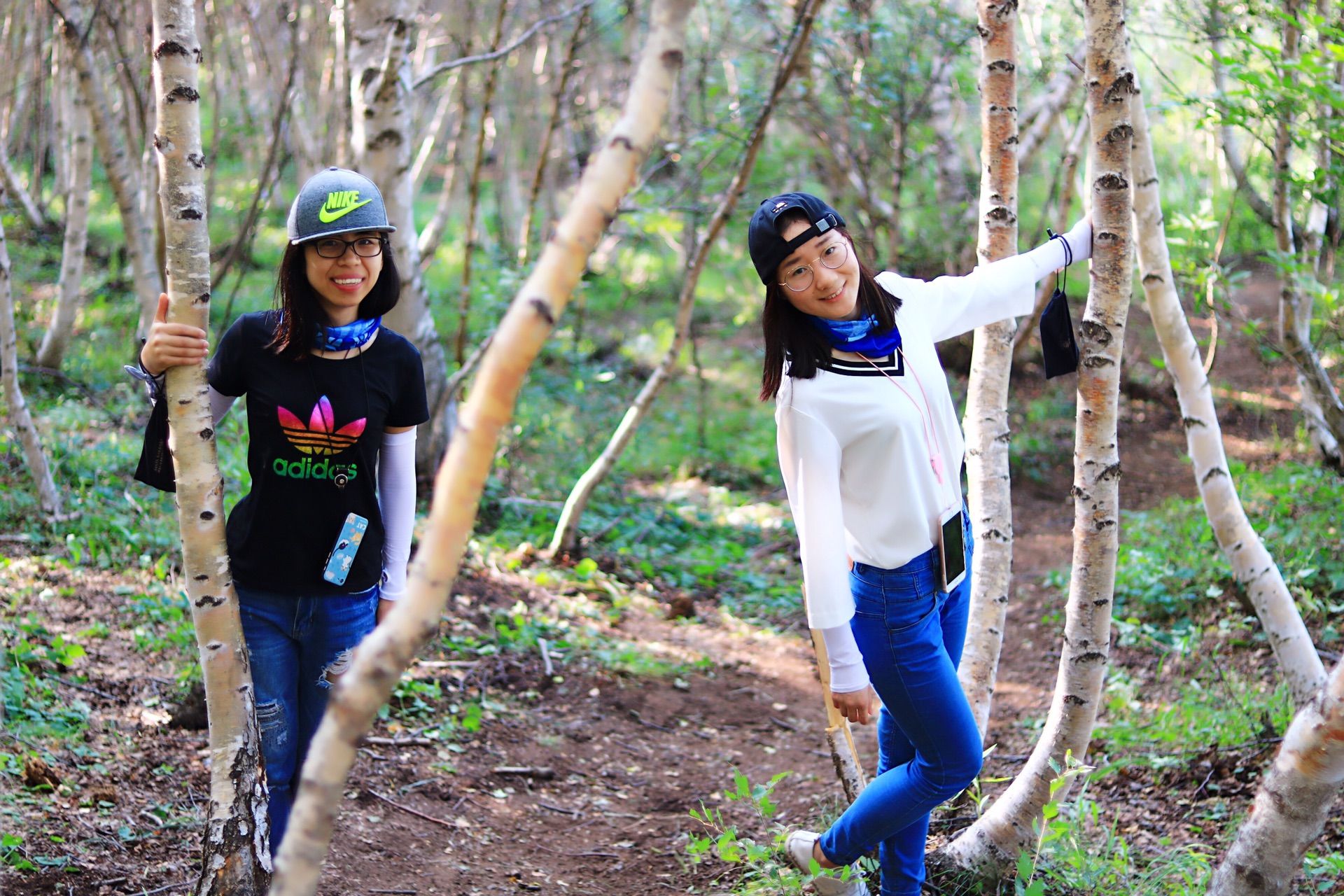 豐寧壩上草原,豐寧京北草原