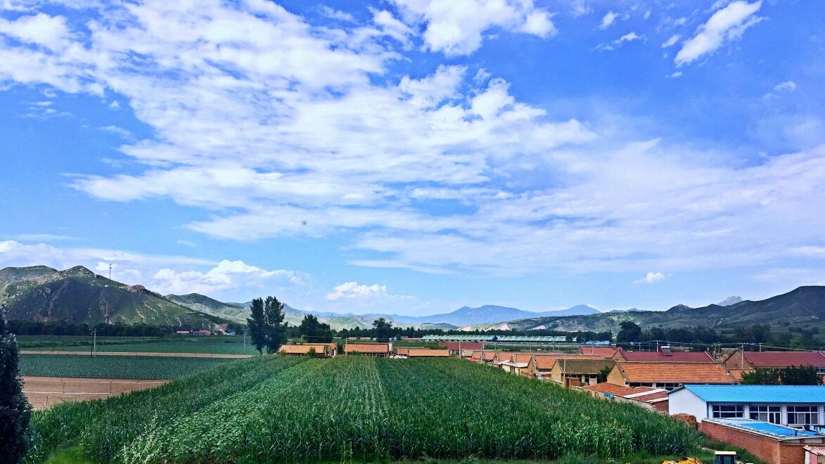 豐寧壩上草原,豐寧京北草原