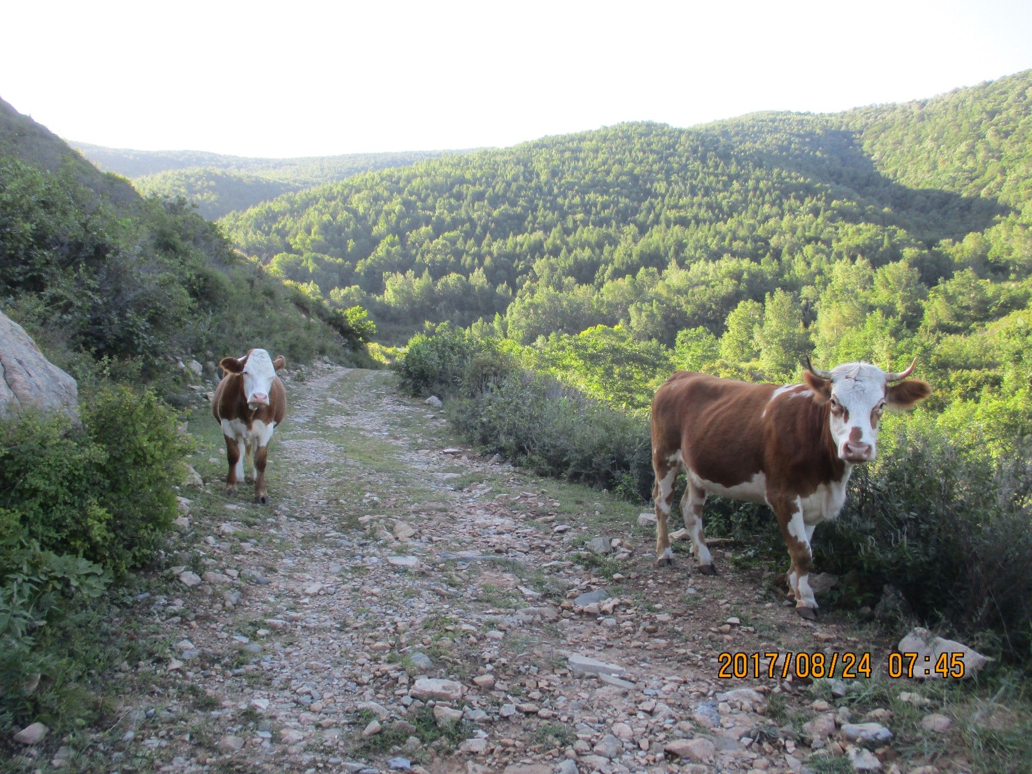 豐寧壩上草原,豐寧京北草原
