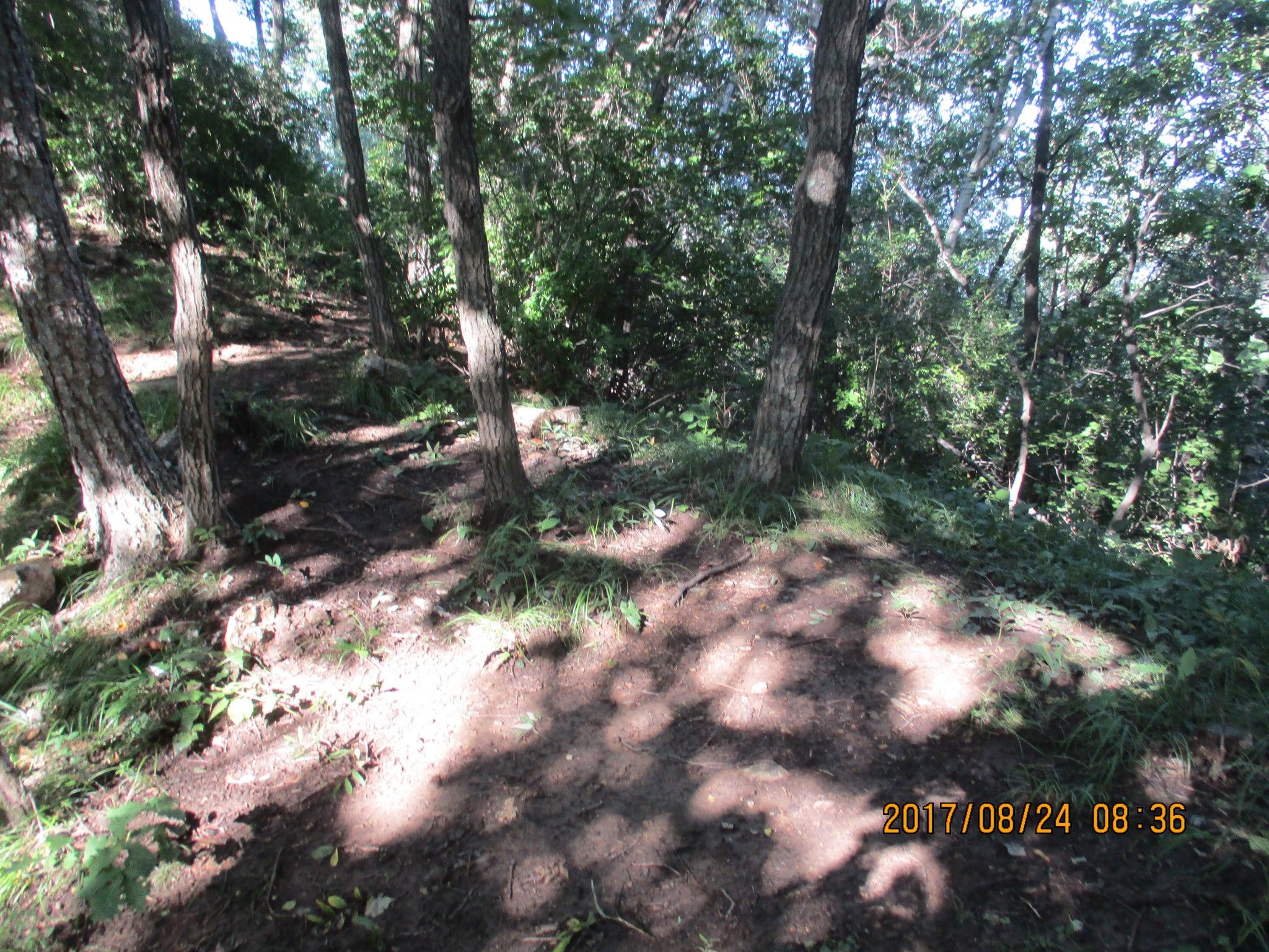 豐寧壩上草原,豐寧京北草原