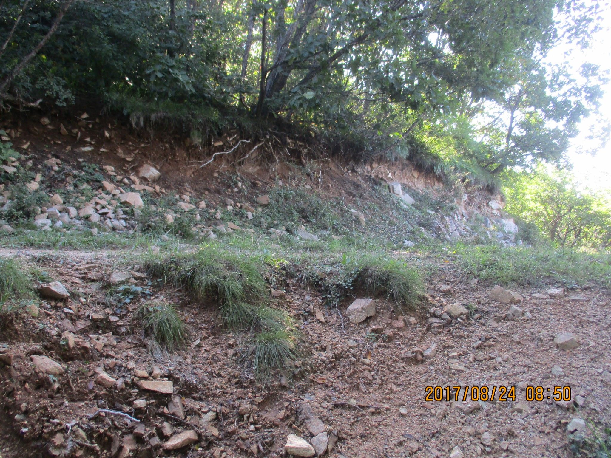 豐寧壩上草原,豐寧京北草原