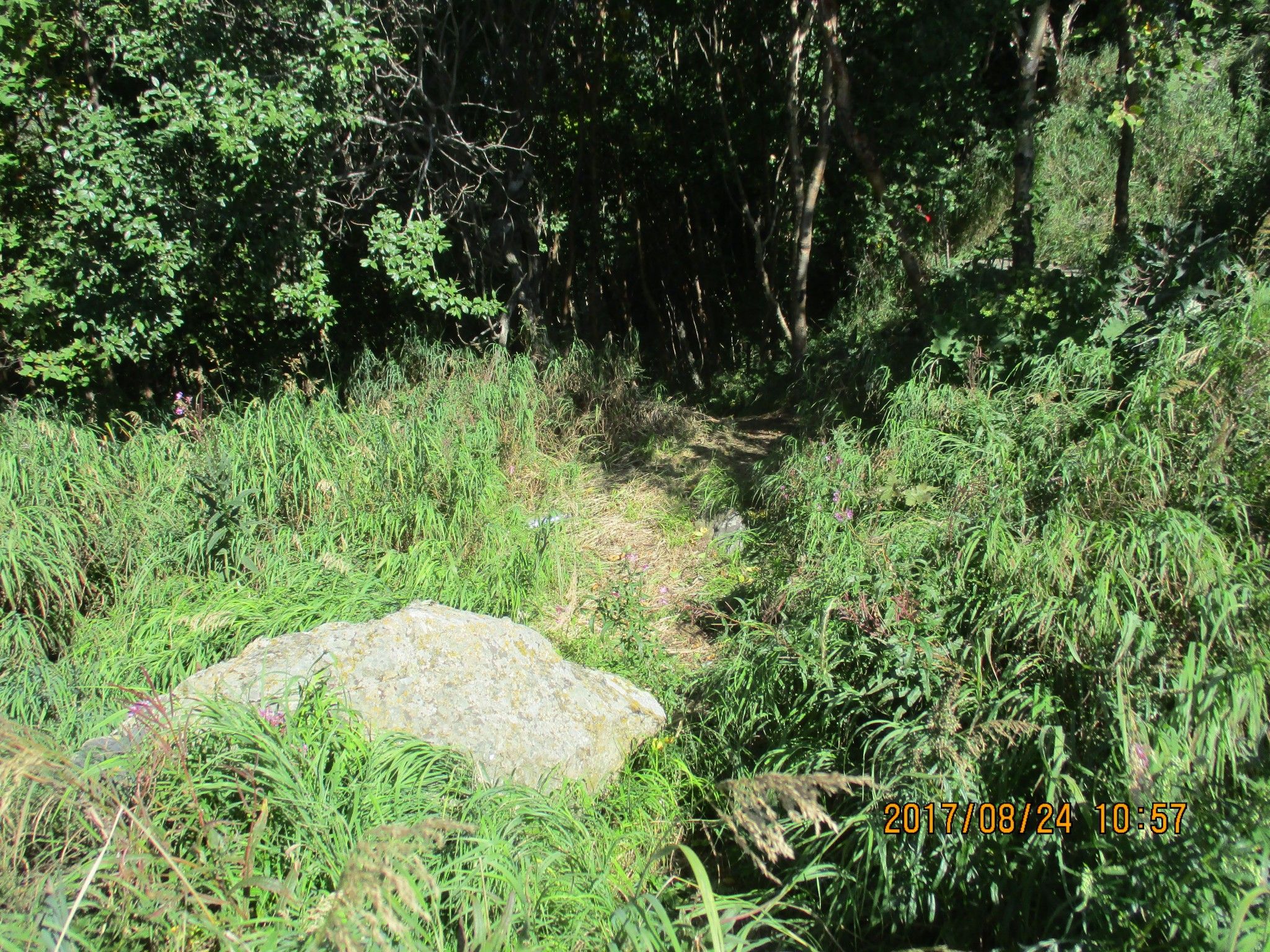 豐寧壩上草原,豐寧京北草原