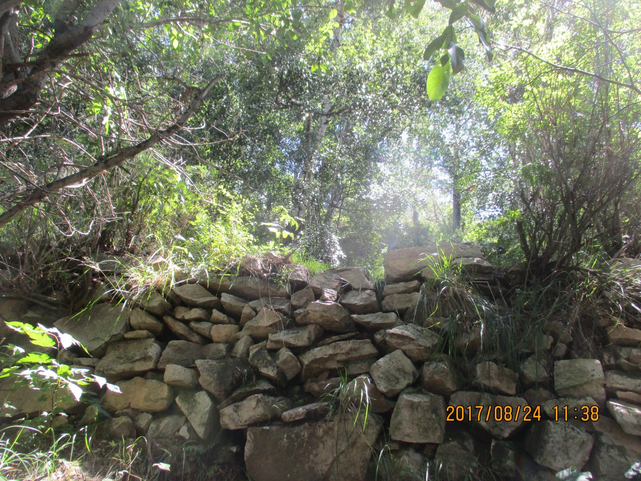豐寧壩上草原,豐寧京北草原