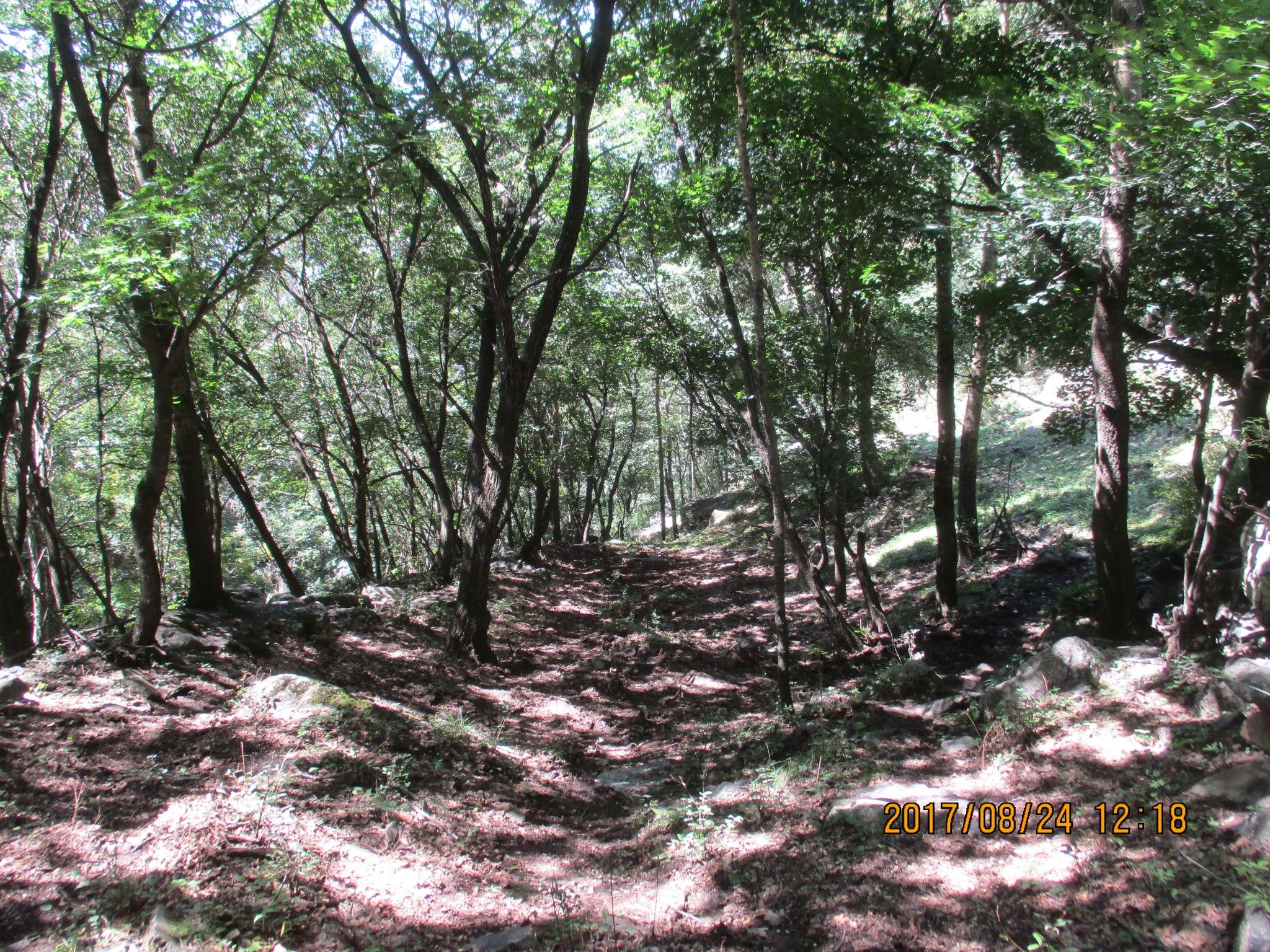 豐寧壩上草原,豐寧京北草原