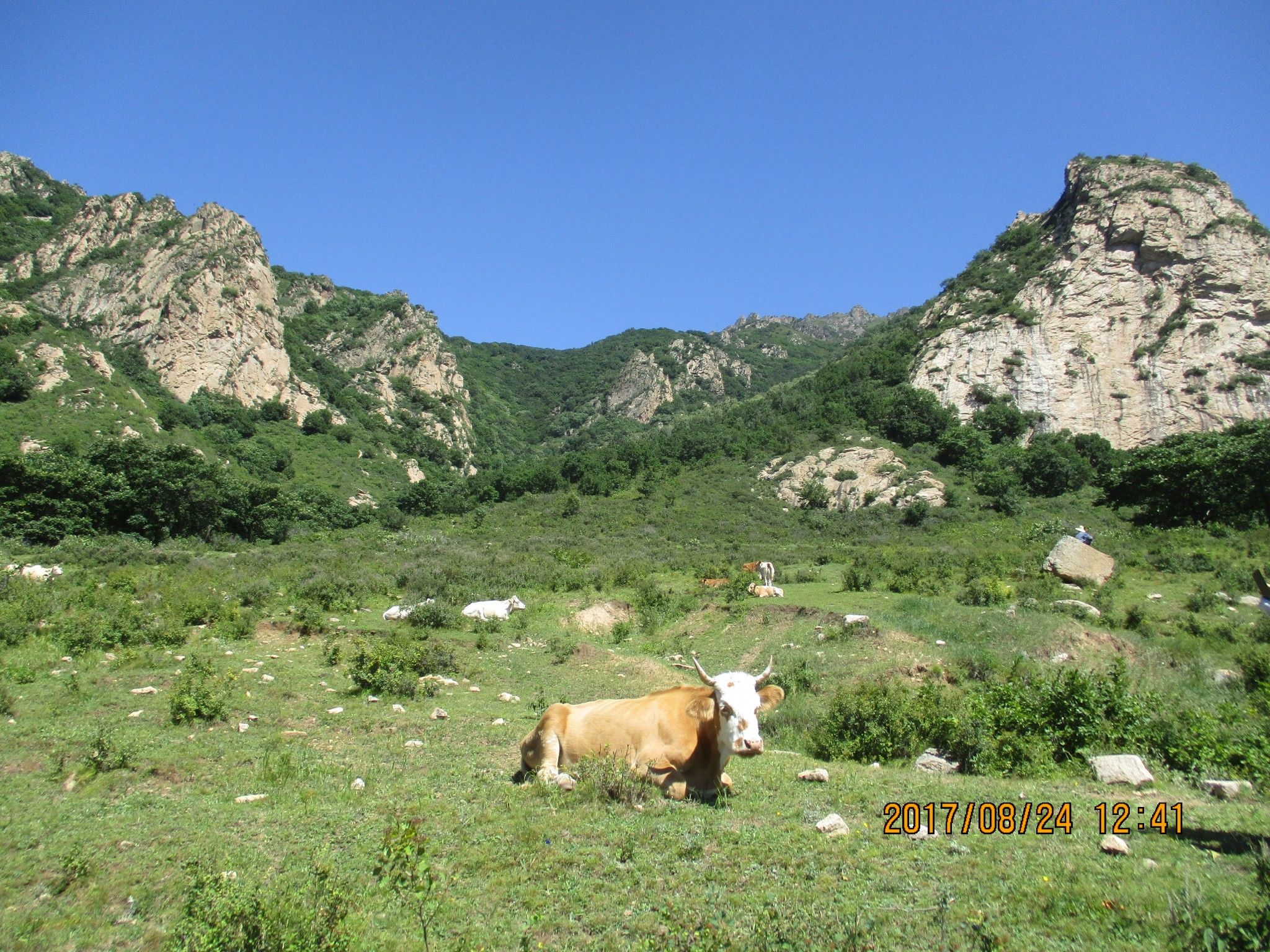豐寧壩上草原,豐寧京北草原