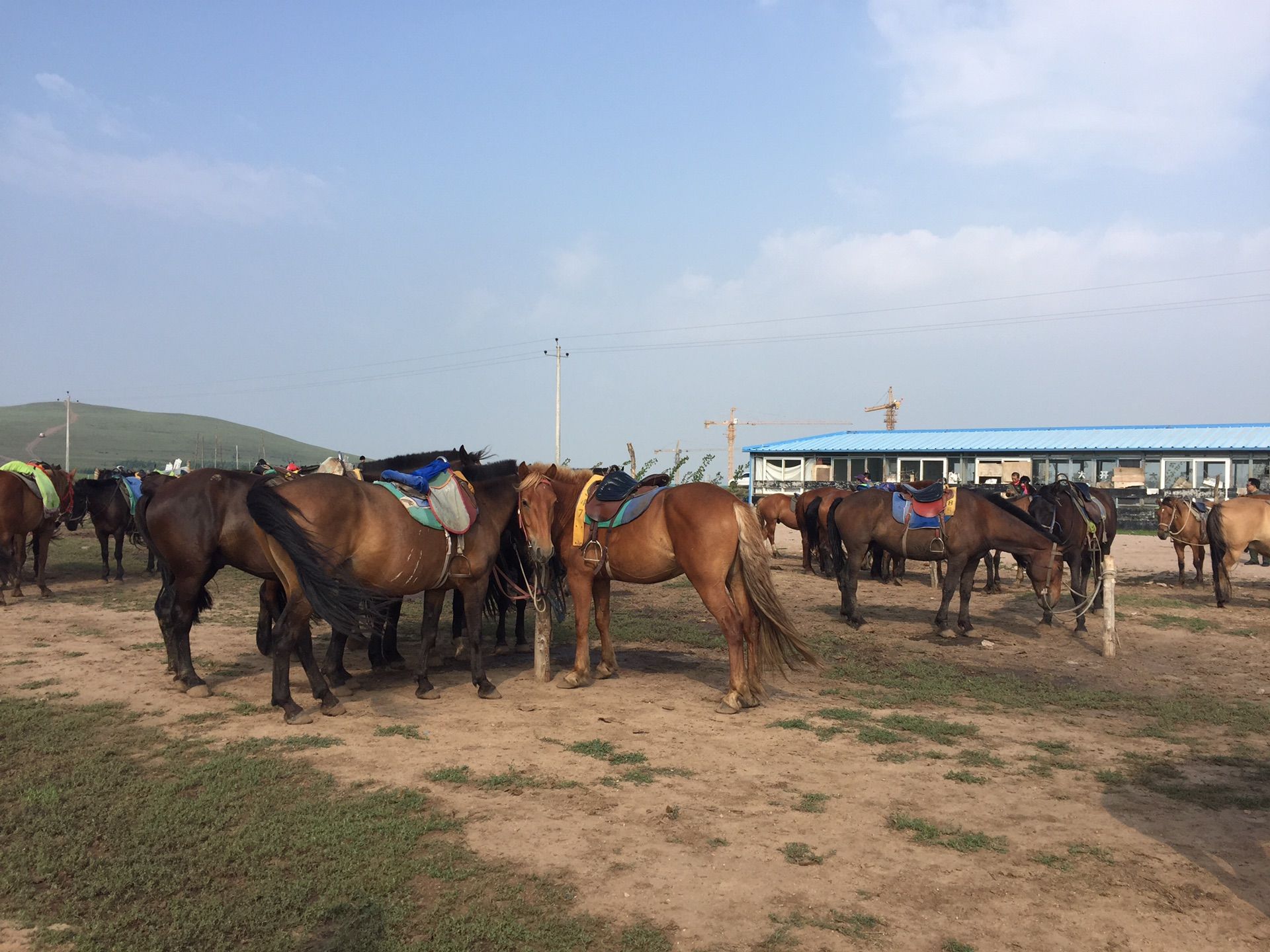豐寧壩上草原,豐寧京北草原