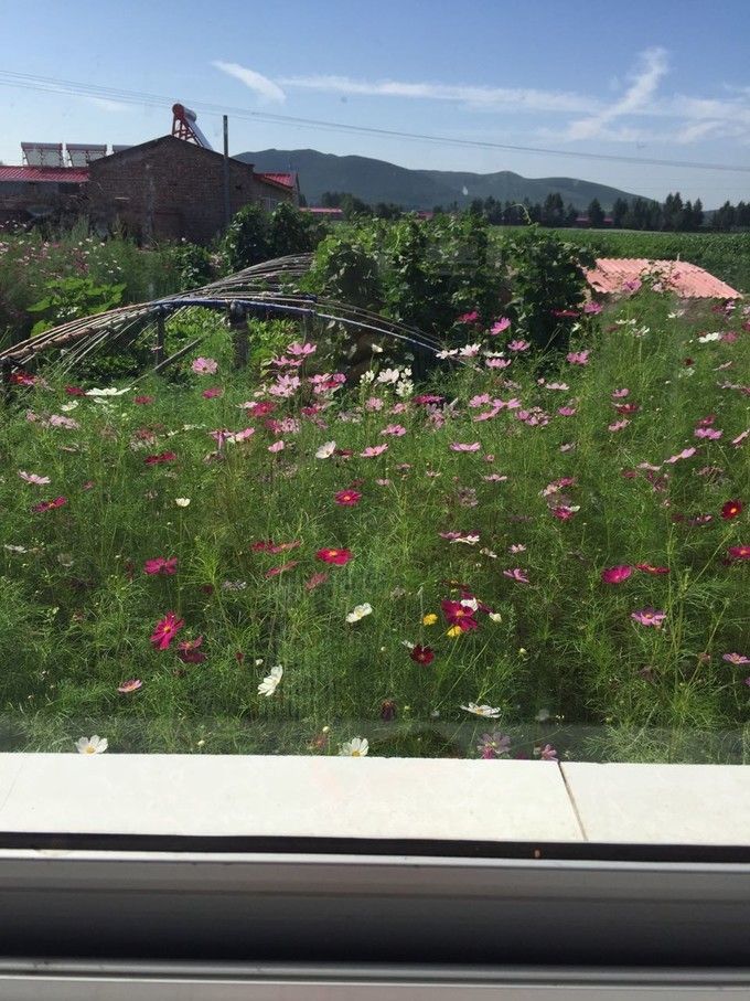 豐寧壩上草原,豐寧京北草原