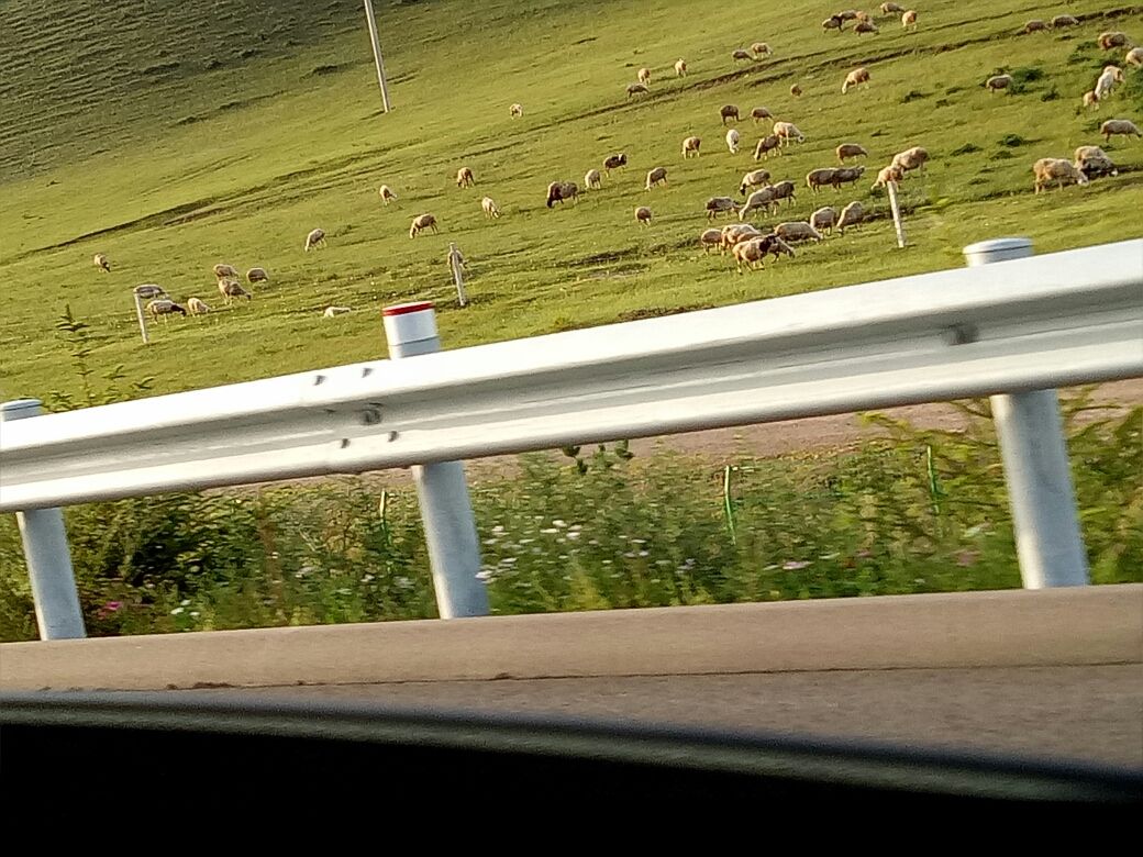 豐寧壩上草原,豐寧京北草原