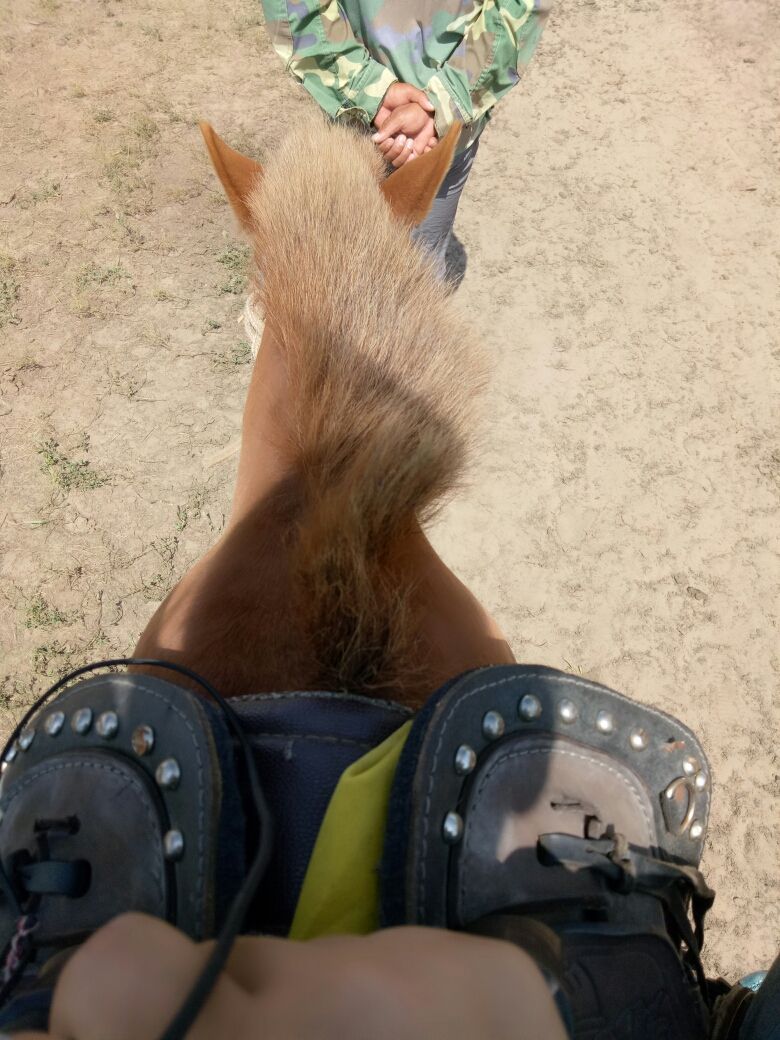 豐寧壩上草原,豐寧京北草原