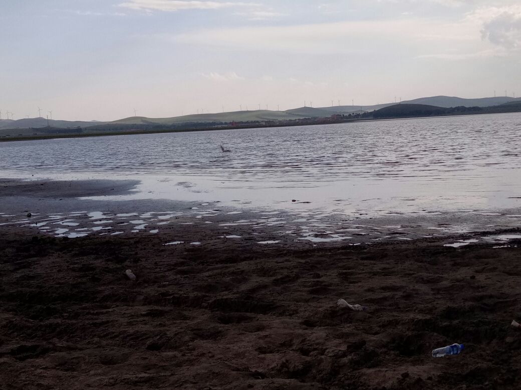 豐寧壩上草原,豐寧京北草原