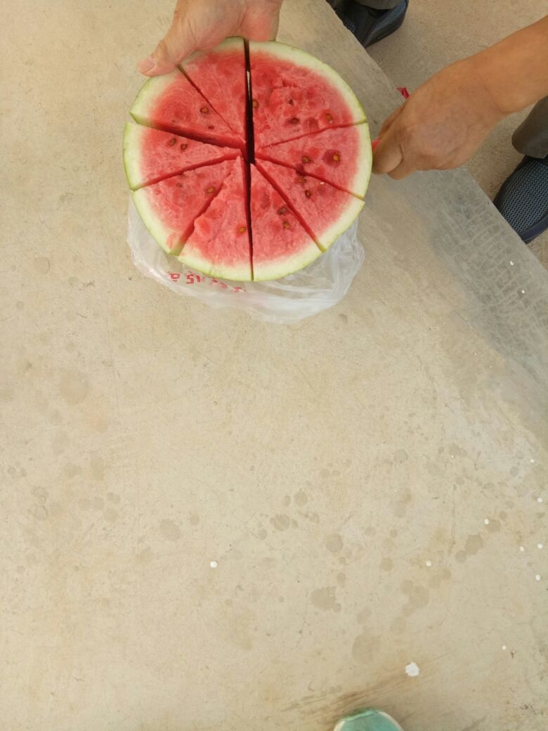 豐寧壩上草原,豐寧京北草原