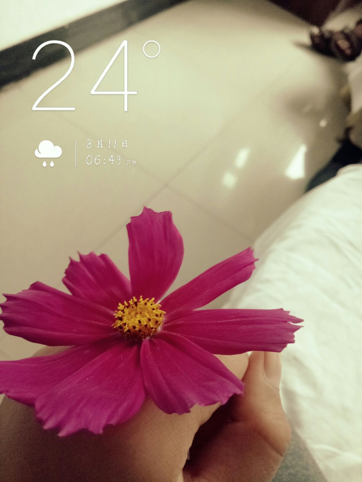 豐寧壩上草原,豐寧京北草原