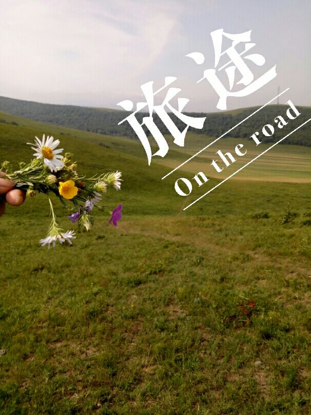 豐寧壩上草原,豐寧京北草原