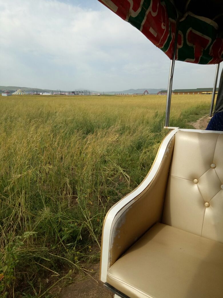 豐寧壩上草原,豐寧京北草原