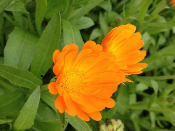 豐寧壩上草原,豐寧京北草原