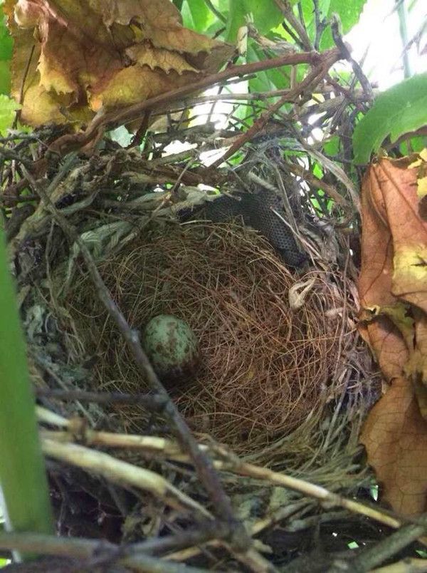 豐寧壩上草原,豐寧京北草原