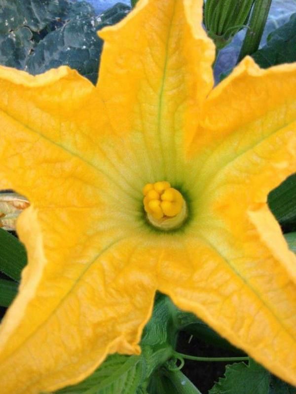 豐寧壩上草原,豐寧京北草原