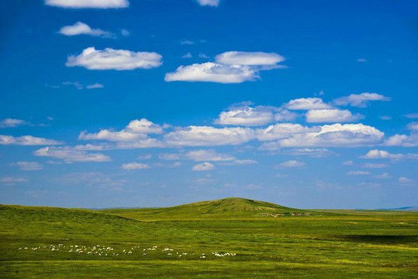 豐寧壩上草原,豐寧京北草原