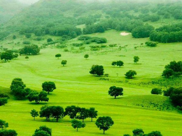 豐寧壩上草原,豐寧京北草原