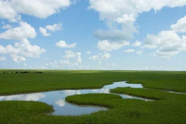 豐寧壩上草原,豐寧京北草原