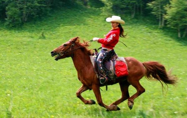 豐寧壩上草原,豐寧京北草原