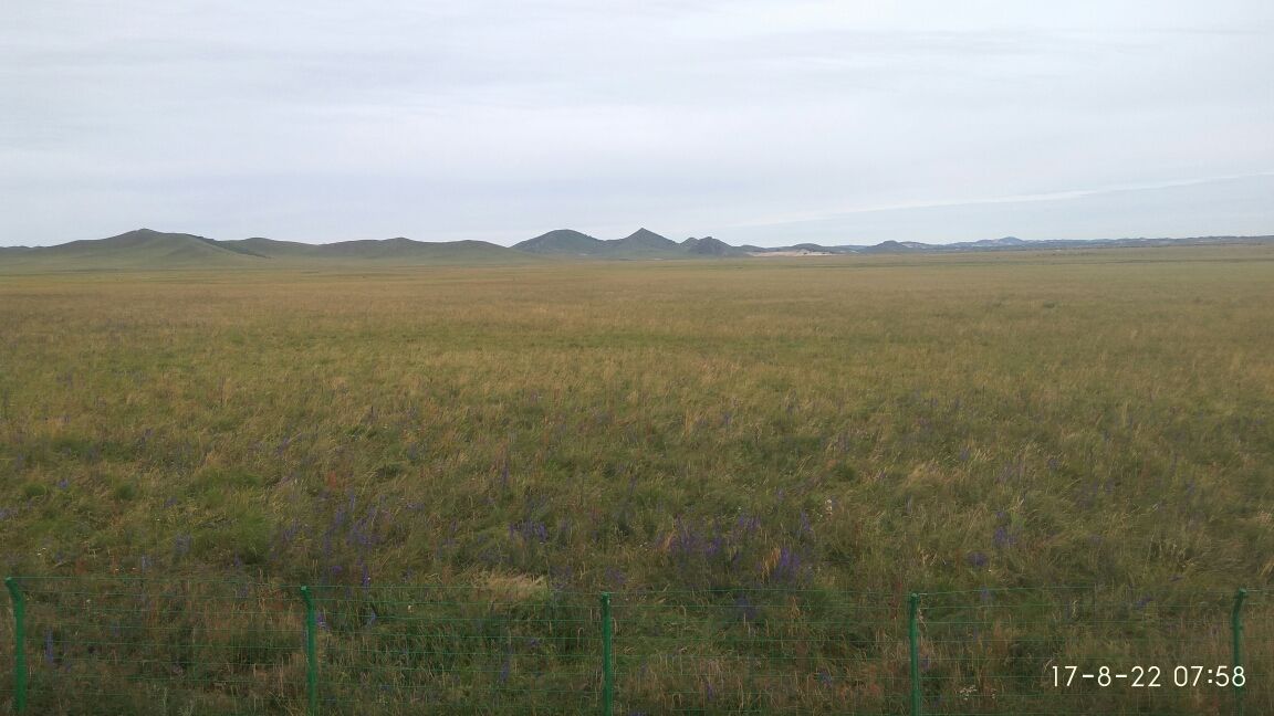 烏蘭布統歸來總結