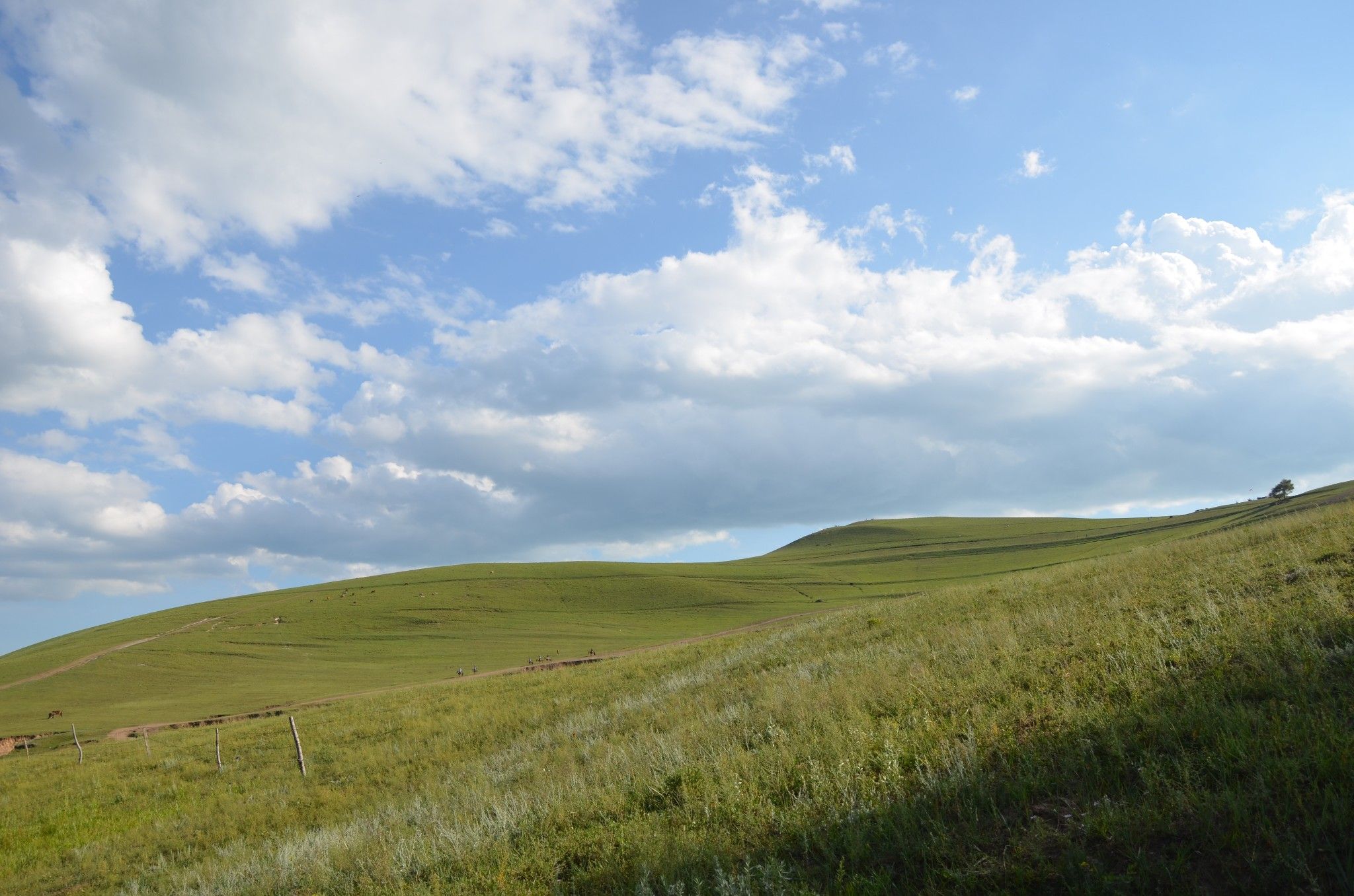 豐寧壩上草原,豐寧京北草原