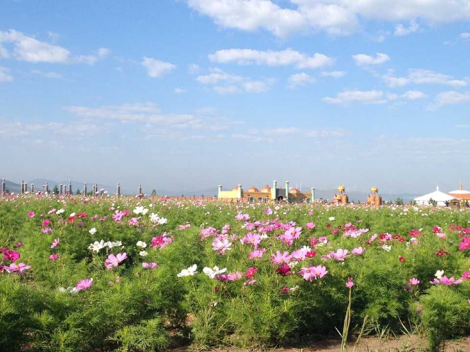 豐寧壩上草原,豐寧京北草原