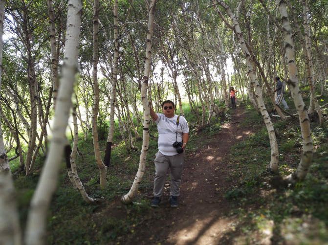 豐寧壩上草原,豐寧京北草原