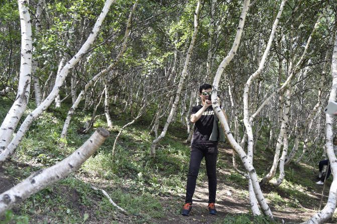 豐寧壩上草原,豐寧京北草原