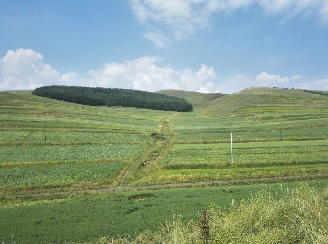 豐寧壩上草原,豐寧京北草原